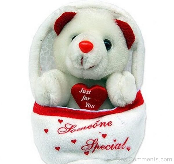 Teddy Bear Just For You