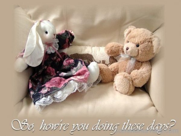 Teddy Bear Sayings How’re You Doing These Days