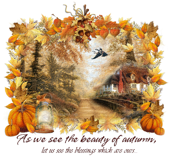 The Beauty Of Autumn