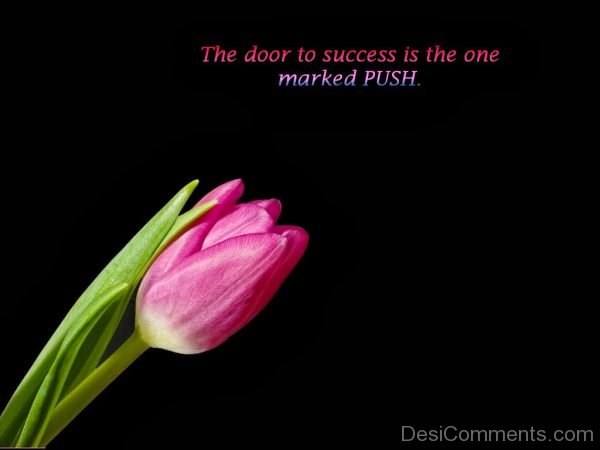 The Door To Success Is The One Marked Push