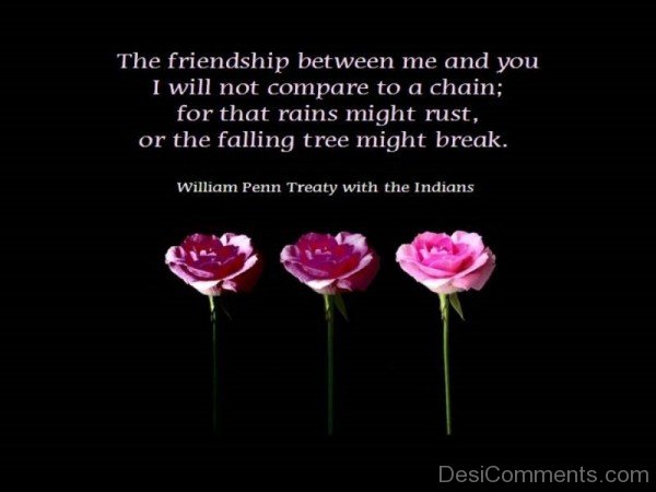 The Friendship Between Me And You