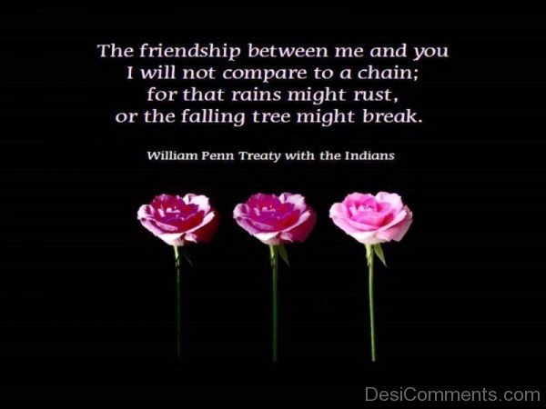 The Friendship Between Me And You