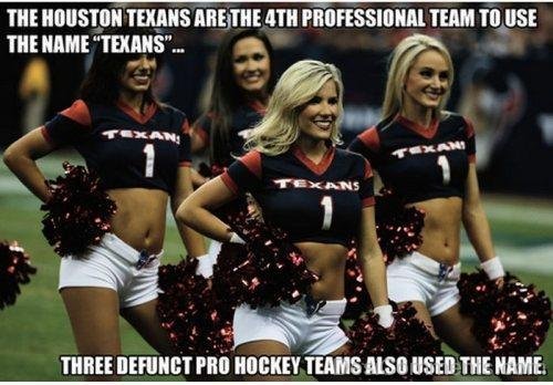 The Houston Texans