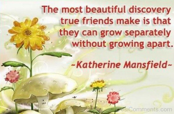The Most Beautiful Discovery True Friends