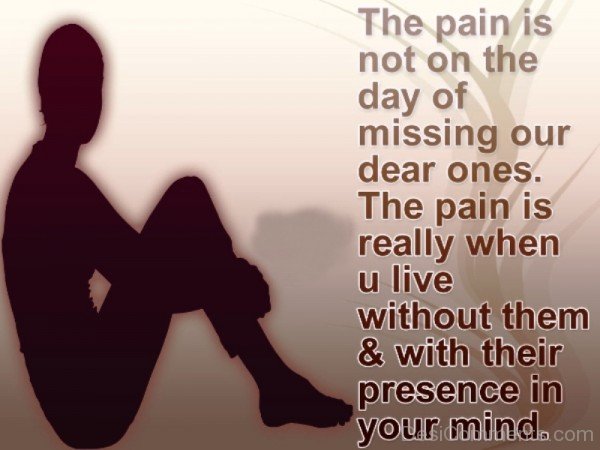 The Pain-unb632desi32