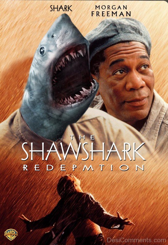 The Shawshark