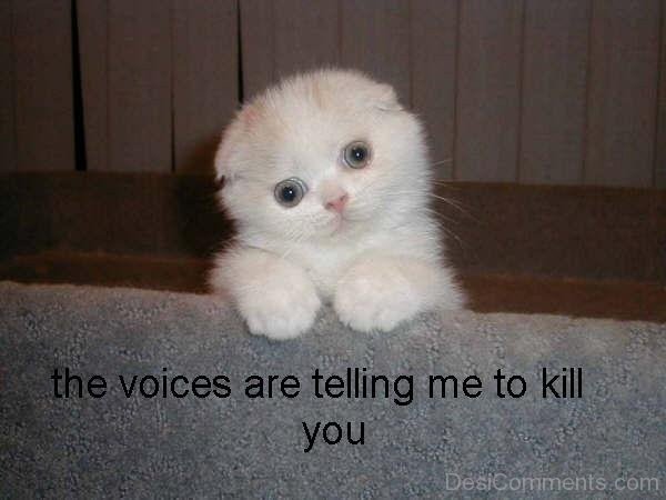 The Voice Are Telling Me To Kill You