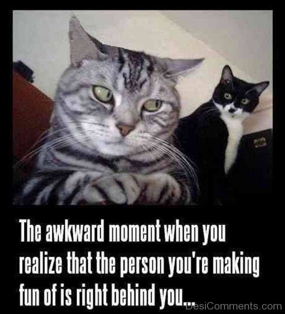 The awkward Moment