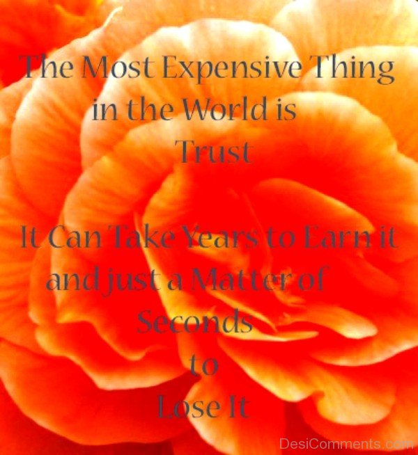 The most expensive thing in the world is trust