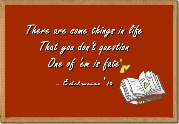 There Are Something In Life That You Do Not Question-DC41