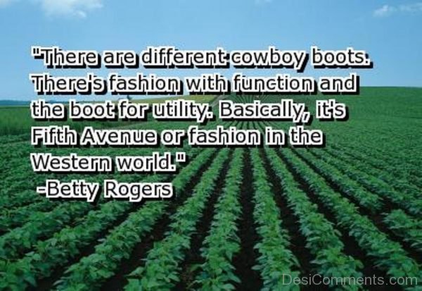 There are different cowboy boots-DC40