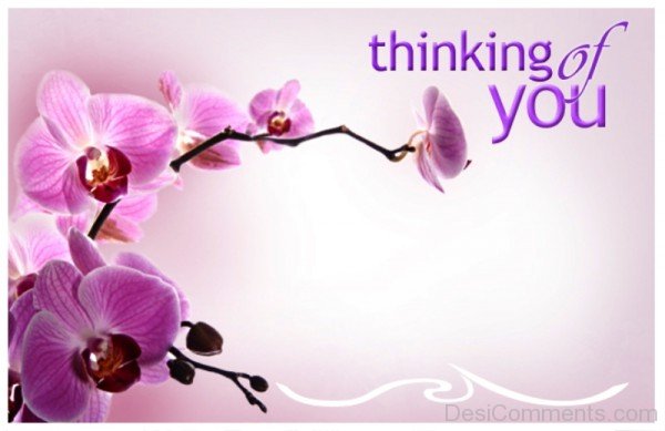 Thinking Of You Flowers Image