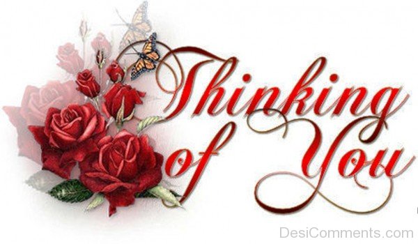 Thinking Of You Rose Image-lmn119desi10