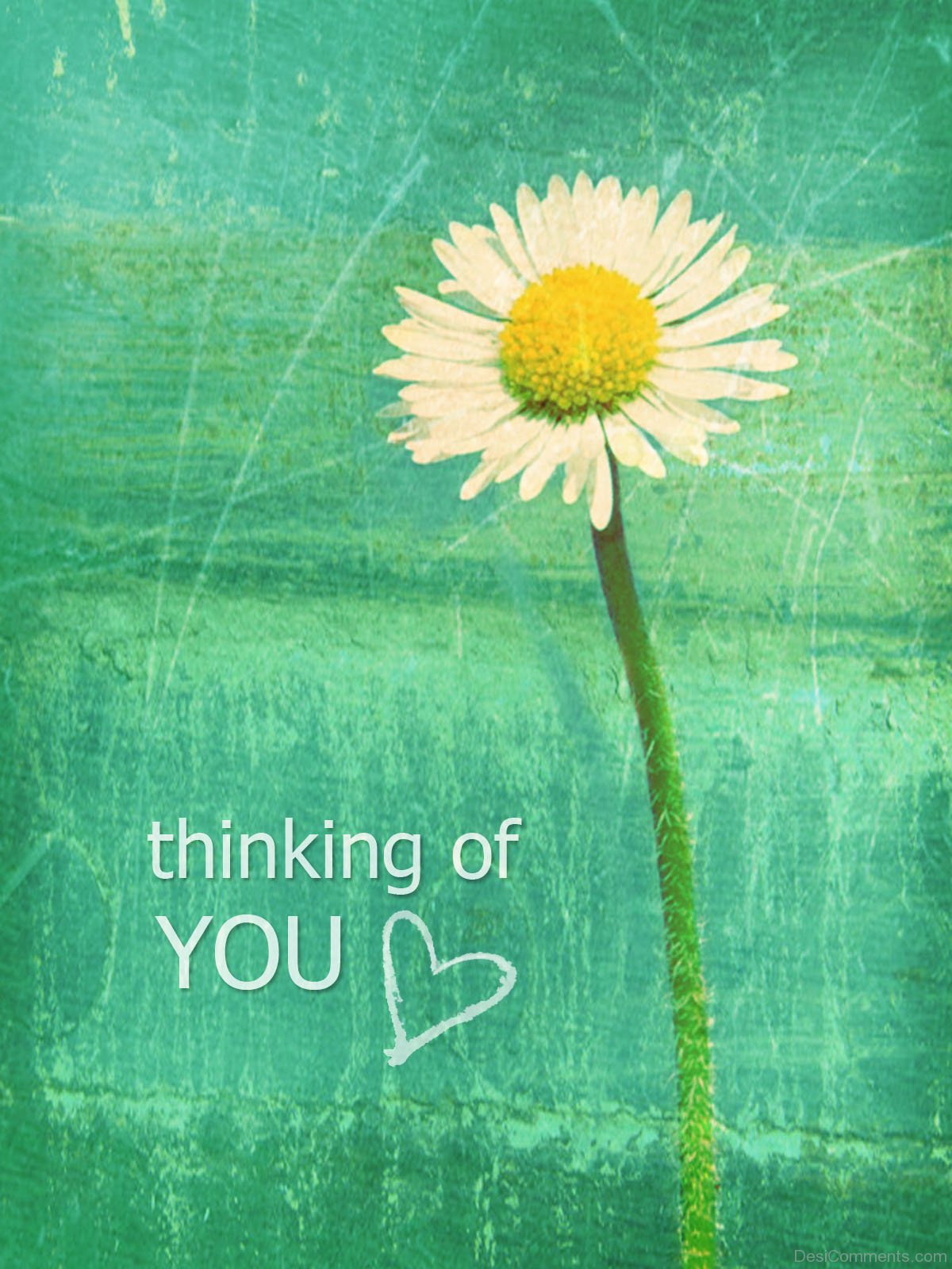 Thinking of You Love - DesiComments.com