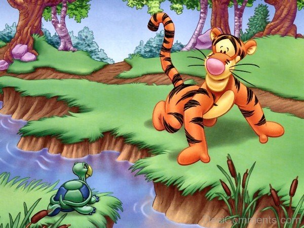 Tigger Looking At Tortoise