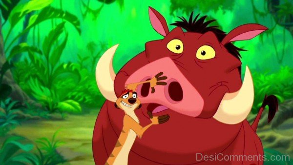 Timon And Pumbaa Funny Picture