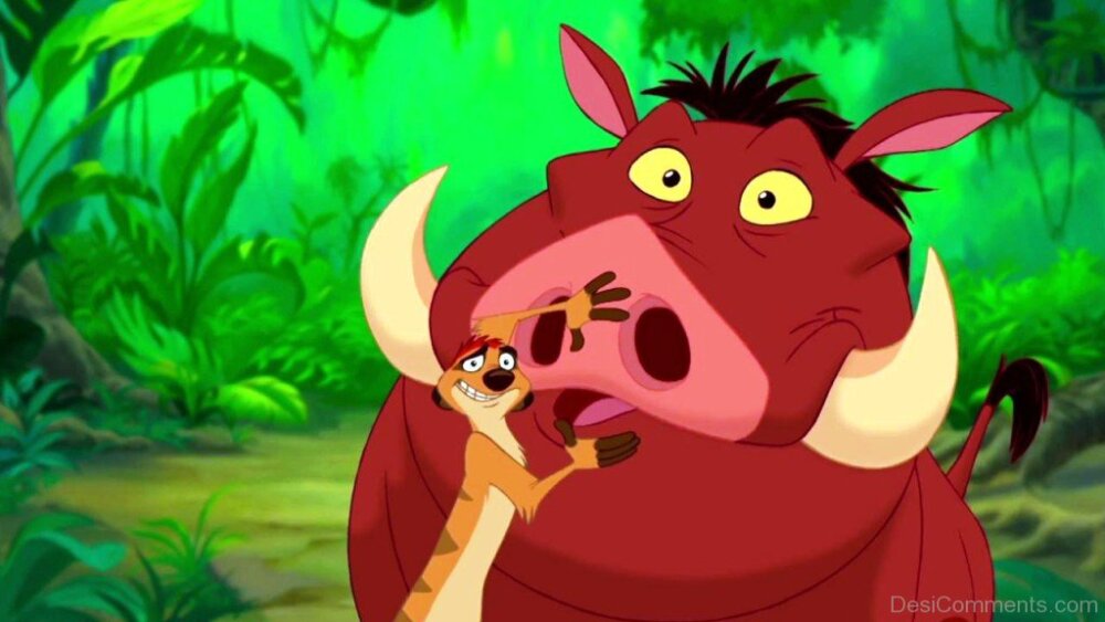 Timon And Pumbaa Funny Picture 
