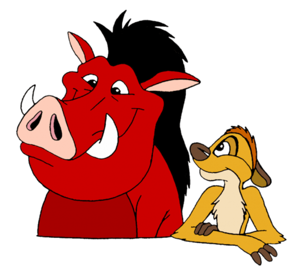 Timon Looking At Pumbaa