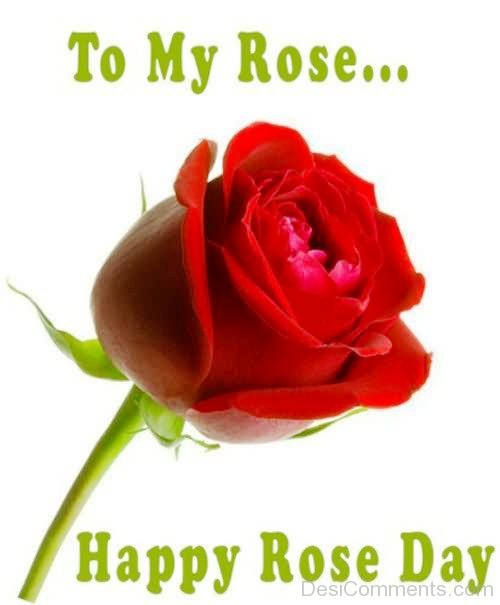 To My Rose Happy Rose Day