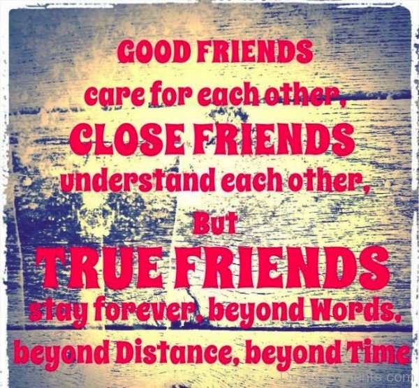 True Friends Stay Forever-dc099140