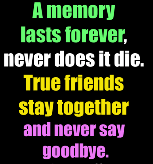 True Friends Stay Together And Never Say Goodbye -DC112