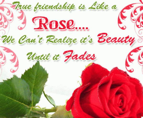 True Friendship Is Like A Rose-DC097