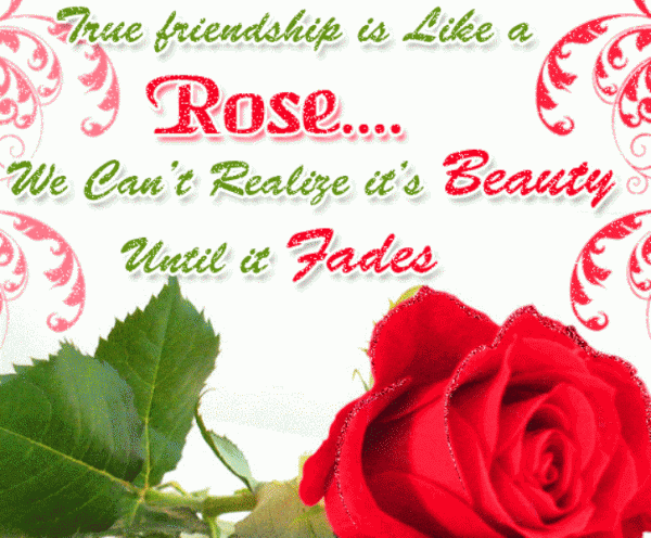 True Friendship Is Like A Rose