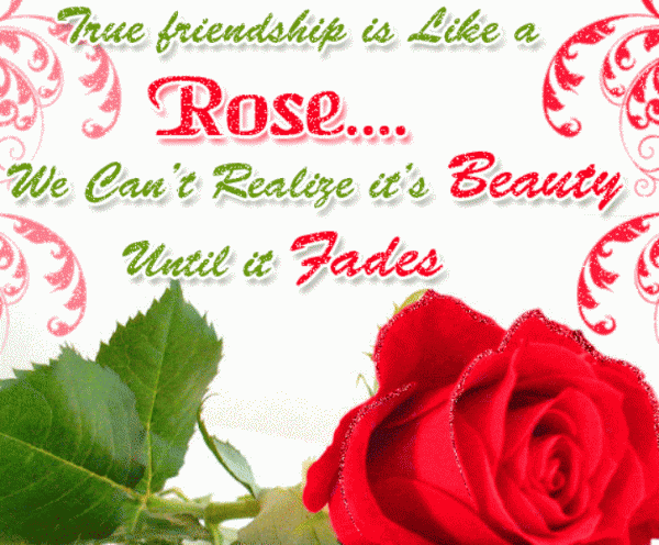 True Friendship Is Like A Rose-dc099142