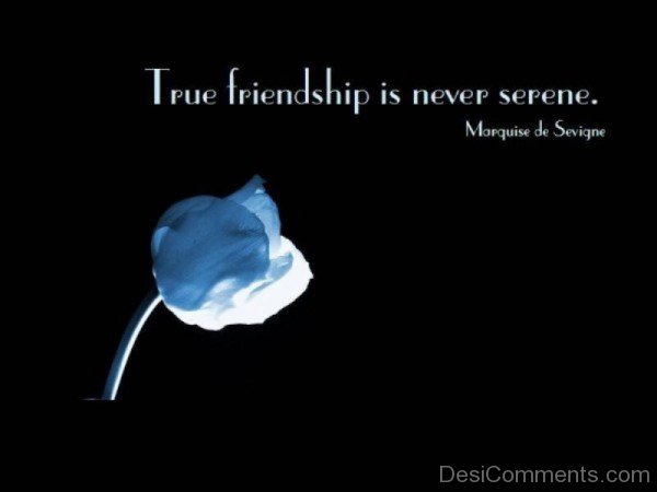 True Friendship Is Never Serene