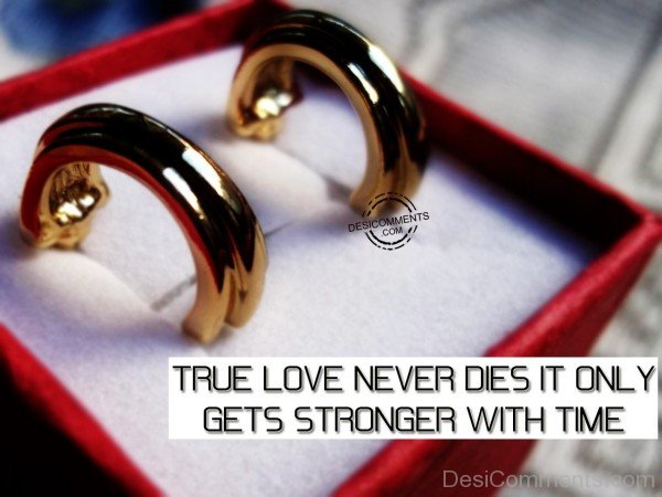True Love Never Dies - 50