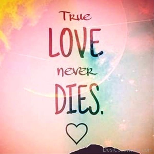 It s a never love