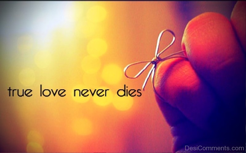 It s a never love. True Love never dies. True Love надпись. Never Love. Истинная любовь.