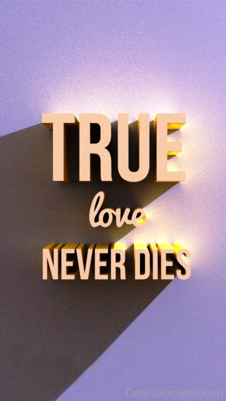 True Love Never Dies Picture-ytq238IMGHANS.COM43