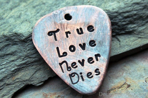 True Love Never Dies-yjr619DESI19