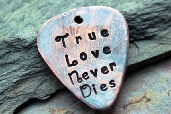 True Love Never Dies-ytq242IMGHANS.COM32