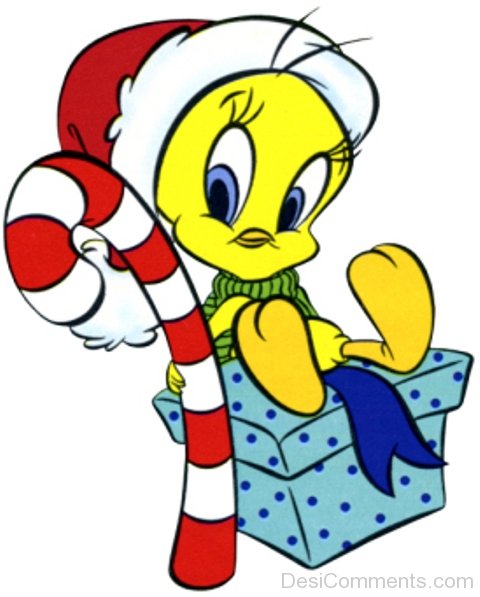 Tweety In Winter Dress