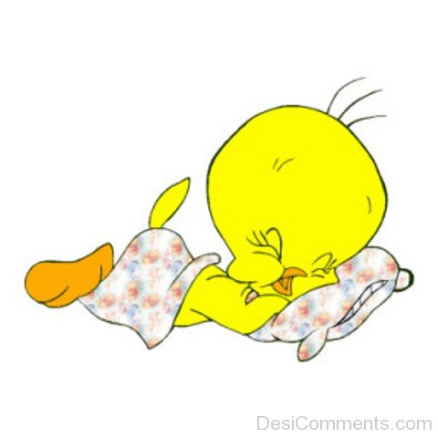 Tweety Sleeping Image