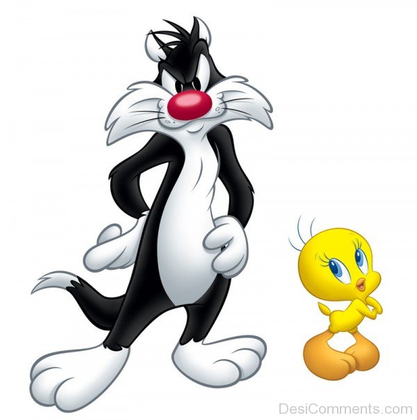 Tweety With Sylvester-DESI1231