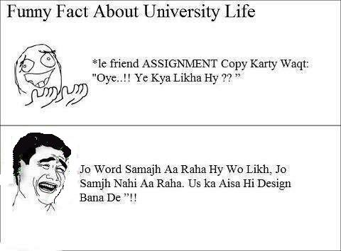 University Life 