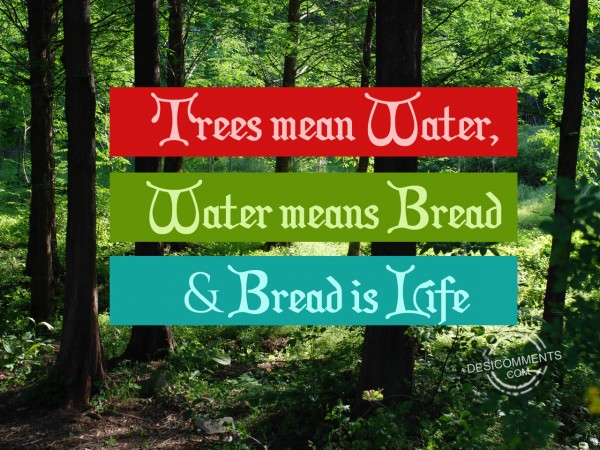 Van Mahotsava Day – Trees Mean Water