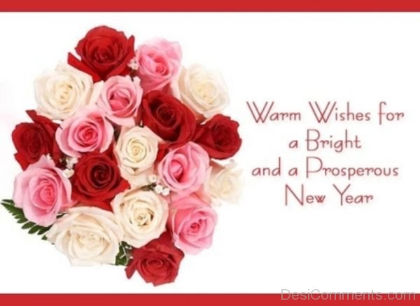 Warm Wishes For A Bright And A Prosperous New Year-DC89