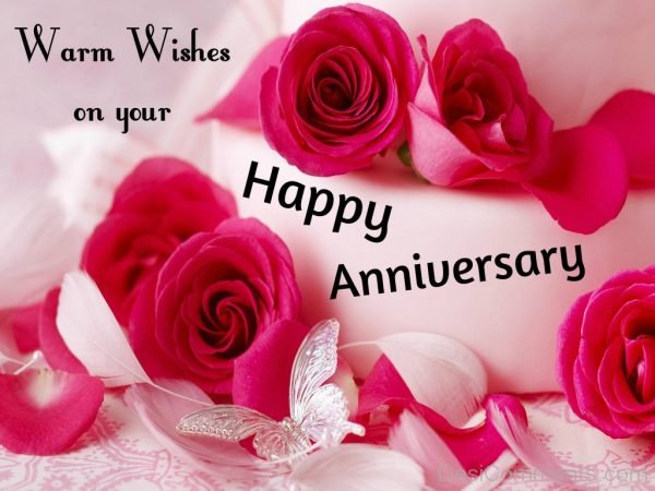 Warm Wishes On Your Happy  Anniversary