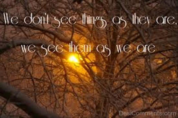 We Do Not See Things As They Are We See Them As We Are-DC71