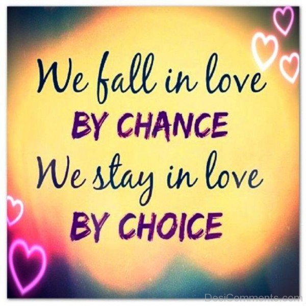 We Fall In Love By Chance - DC445