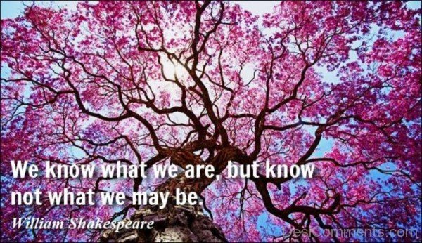 We Know What We Are-DC0F225