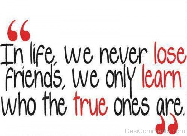 We Never Lose Friends