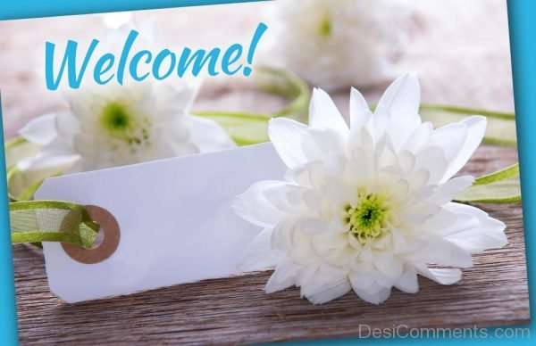 Welcome White Flowers