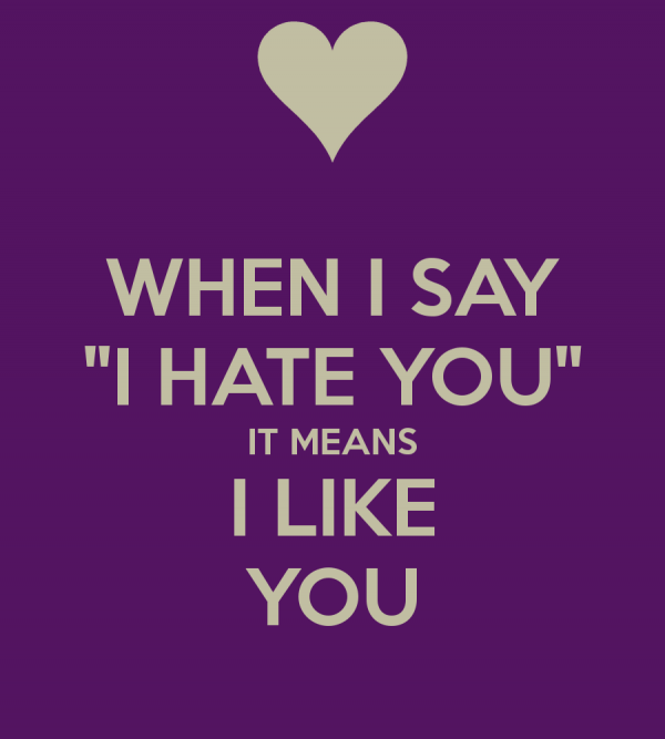 When I Say I Hate You It Means I Like You-DC1DC23