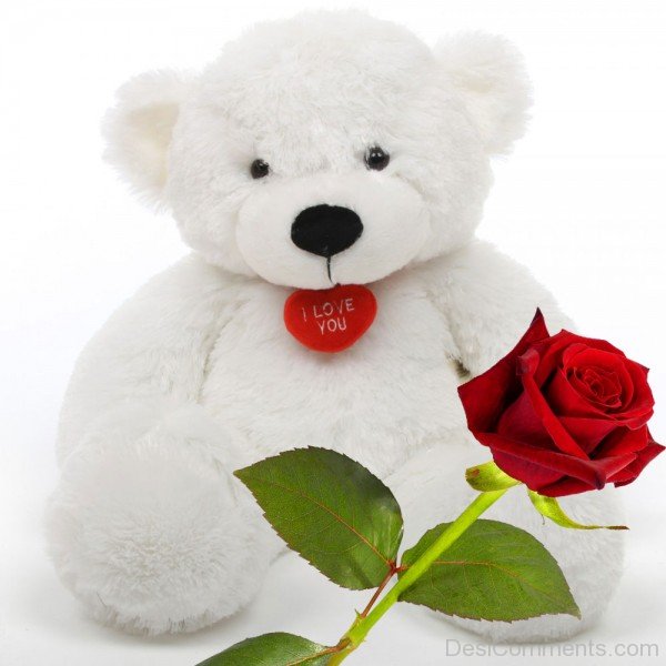 White Teddy Bear With Rose