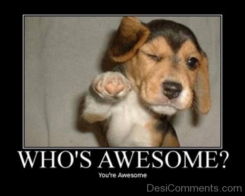 Who’s  Awesome
